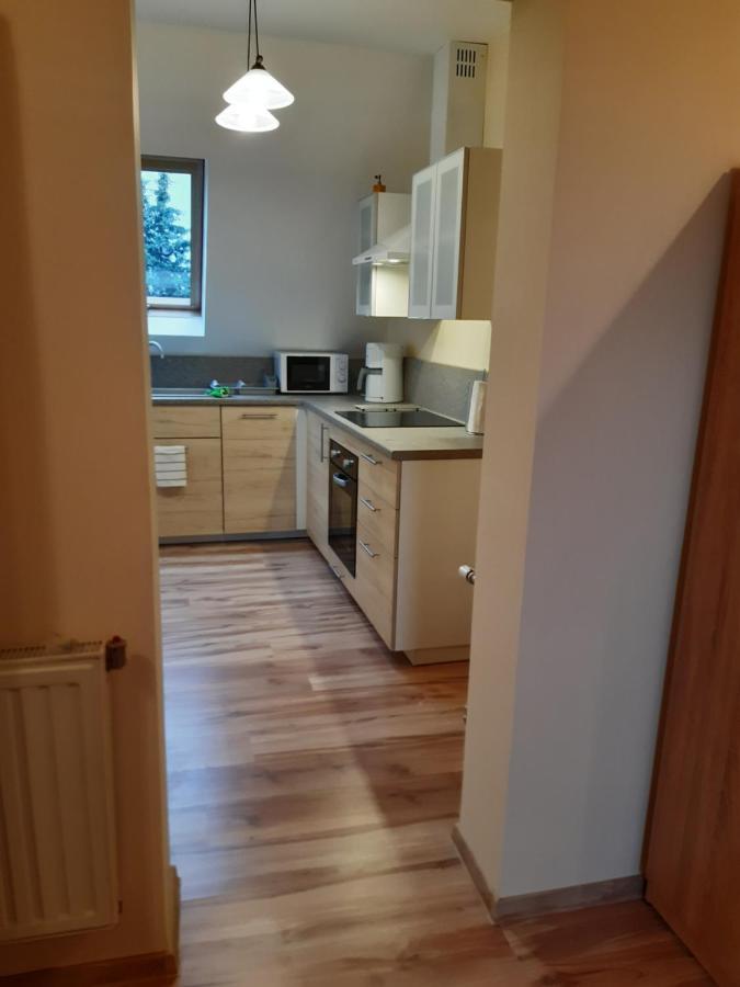 Apartamenty Nad Wisla Skawina Kültér fotó