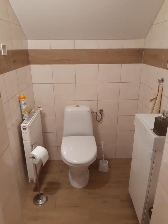 Apartamenty Nad Wisla Skawina Kültér fotó