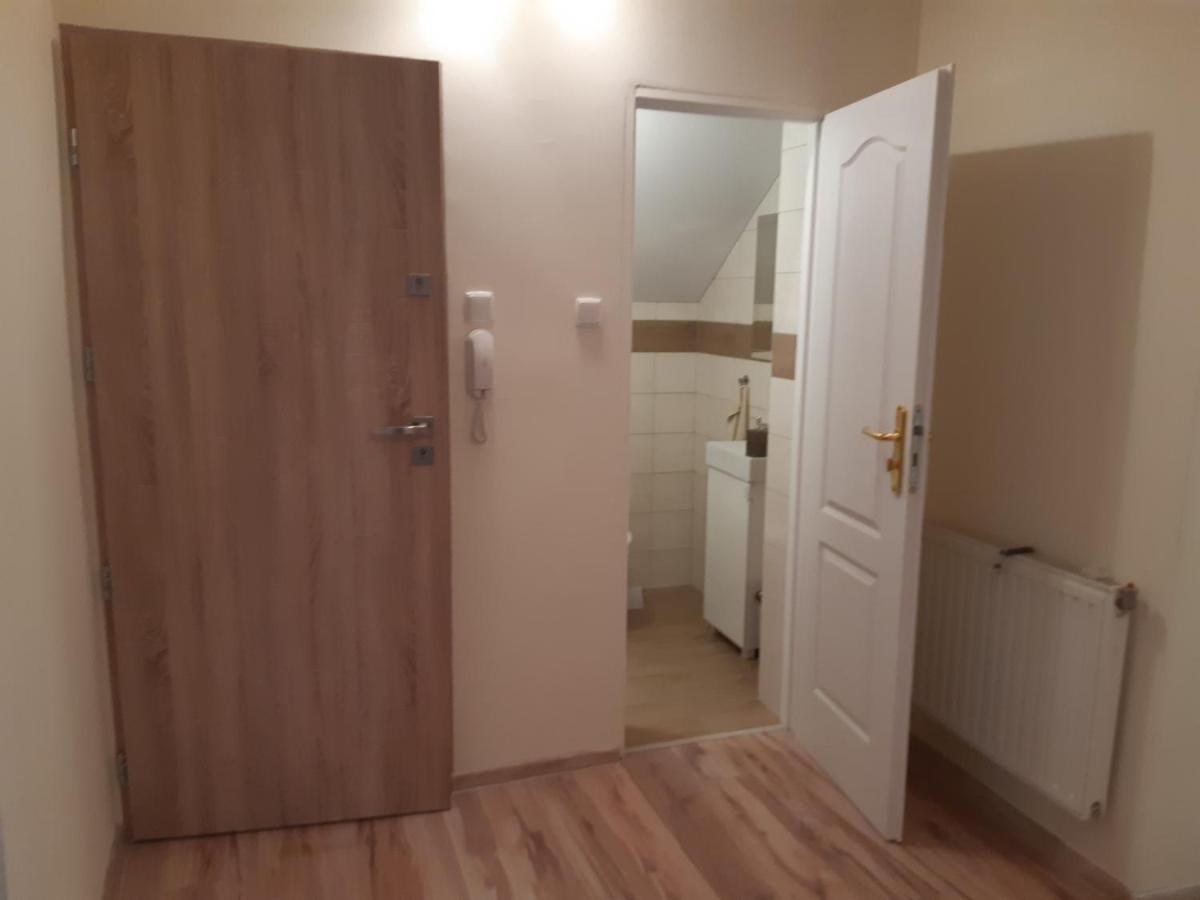 Apartamenty Nad Wisla Skawina Kültér fotó