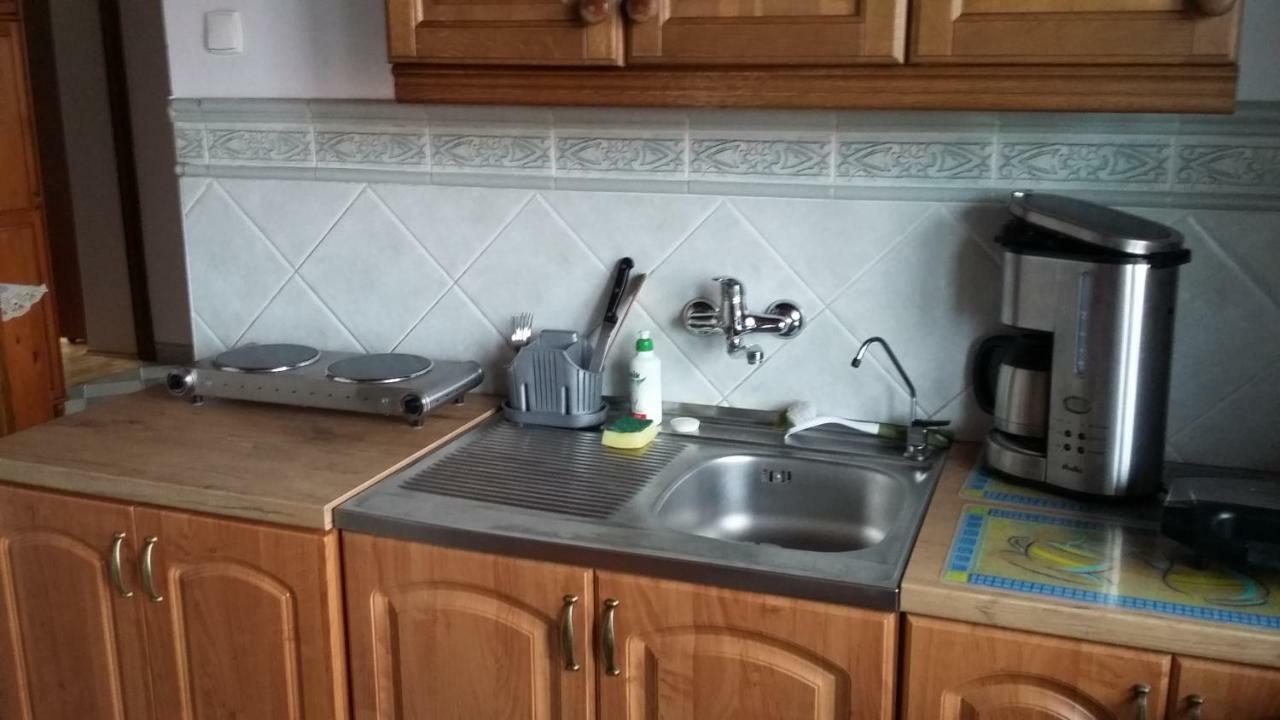 Apartamenty Nad Wisla Skawina Kültér fotó